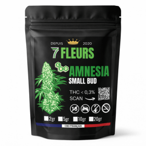 amnesia-small-buds-cbd 7 fleurs