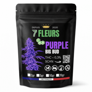 big-bud-purple-snowman