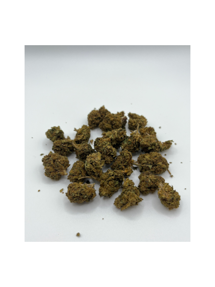 big-bud-super-skunk