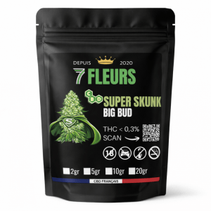 big-bud-super-skunk