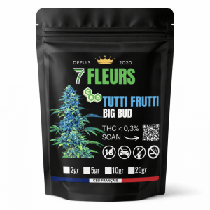 big-bud-tutti-frutti